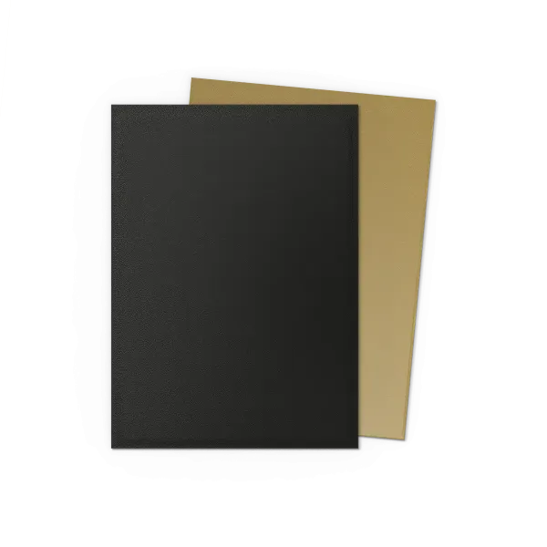Dragon Shield - Black & Gold - Standard Sleeves